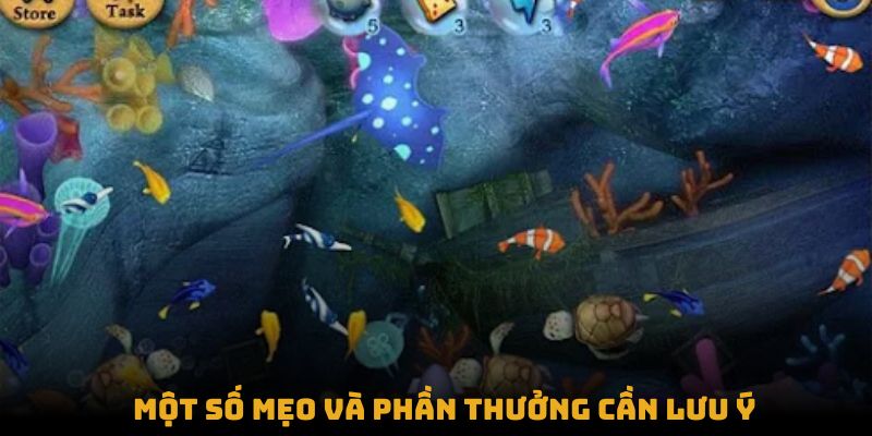 Một số mẹo và phần thưởng cần lưu ý