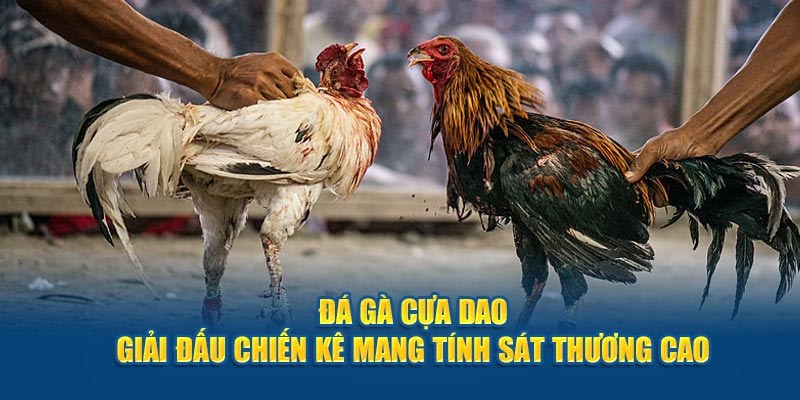 Tổng quan về trò chơi đá gà cựa dao hấp dẫn