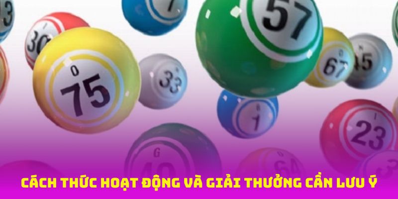 Cách thức hoạt động và giải thưởng cần lưu ý