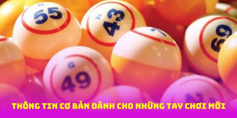 Thông tin cơ bản dành cho những tay chơi mới